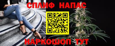 бошки Донской