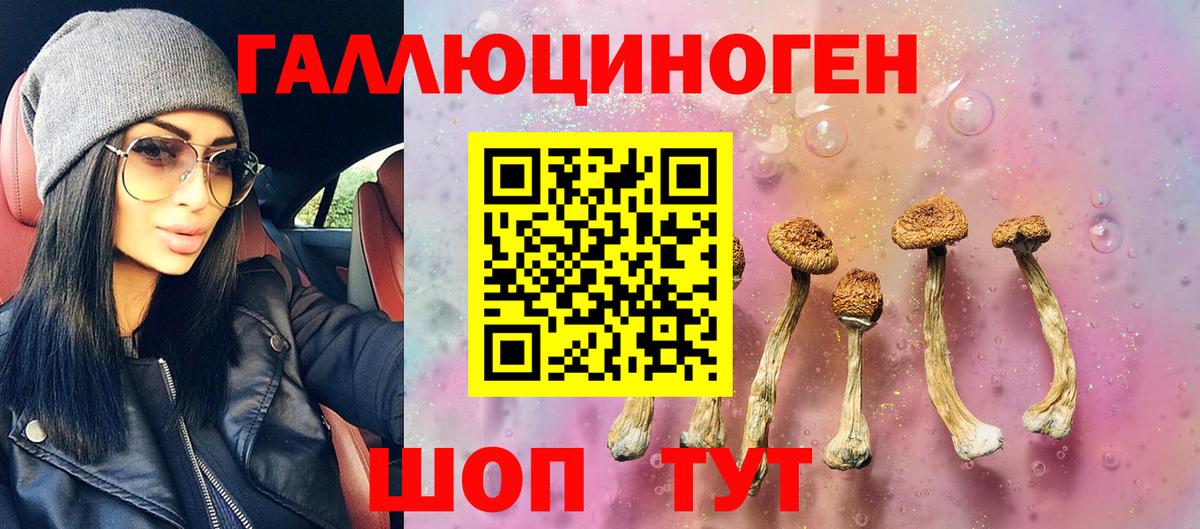 Галлюциногенные грибы мицелий  Псилоцибиновые грибы прущие грибы  Вход с VPN  Новокубанск 