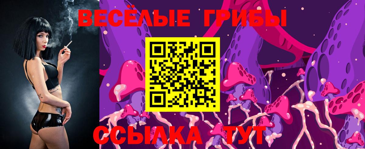 Галлюциногенные грибы Cubensis Новокубанск